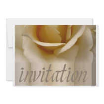 off white rose invitation by studioportosabbia off white rose invitation