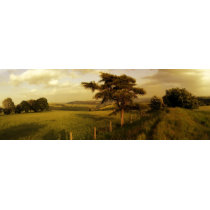 Offa's Dyke