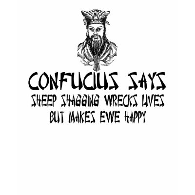 Offensive,funny Confucius sayings Tank Top by LIMEYBOY