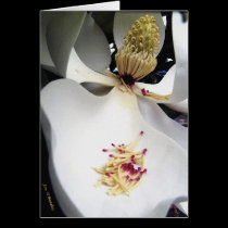 Offering cards