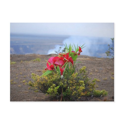 Offering to Pele, HawaiianVolcano Goddess Postcard postcard
