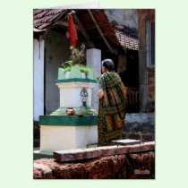 Offerings cards