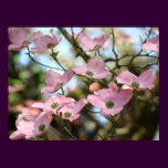 OFFICE ART DOGWOOD Flowers 9 Nature Art Prints