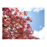 OFFICE ART DOGWOOD Flowers Nature Art Prints