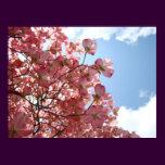 OFFICE ART DOGWOOD Flowers Nature Art Prints