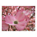 OFFICE ART Pink Dogwood Tree 1 Art Framed Prints