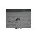 Office Bug posters by Johan_den_Hollander Office Bug posters