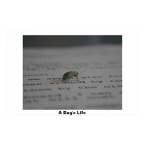 Office Bug posters by Johan_den_Hollander Office Bug posters