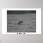 Office Bug posters
