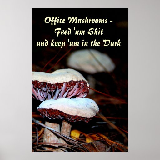 Office Mushrooms... Posters