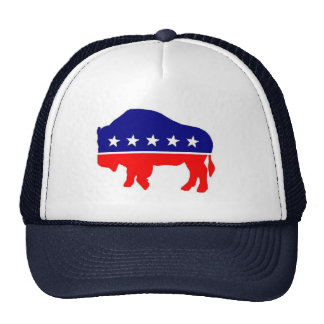 bison hat party official hats