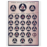 Official Civilian Defense Insignia Full Color Flyer