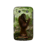 Official Fan Club Krista Orangutan casemate cases