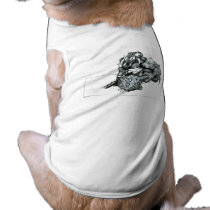 Official Powergamer (d20) Pet Clothing