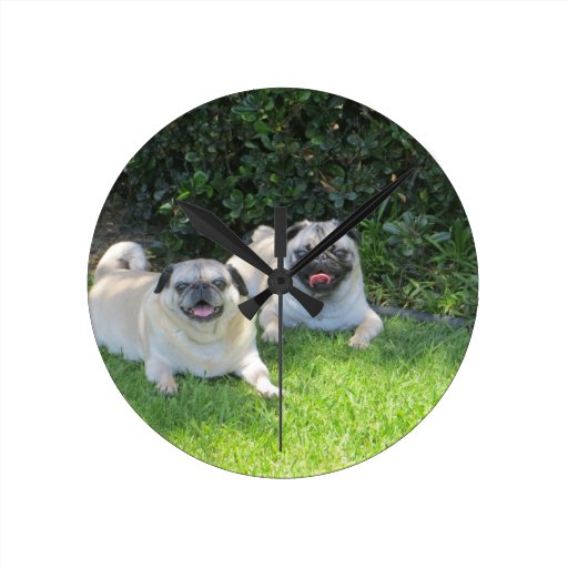 Official Sid and Dandy Wall Clocks