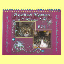 Official Spoiled Rotten Cats Calendar 2011 calendars