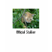 Official Stalker t-shirts