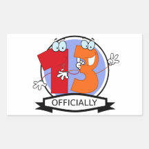 Officially 13 Birthday Banner Rectangle Sticker