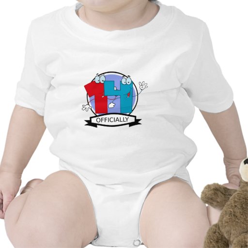 Officially 14 Birthday Banner Tees