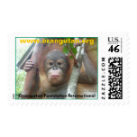 OFI Rescued Orphan Postage Stamp