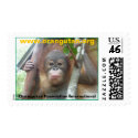 OFI Rescued Orphan Postage Stamp