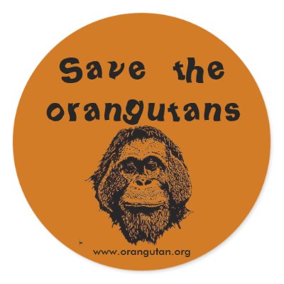 Saving Orangutans