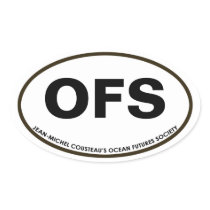 OFS Oval Sticker stickers