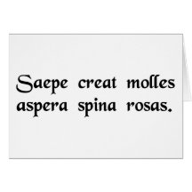 Often the prickly thorn produces tender roses. greeting cards