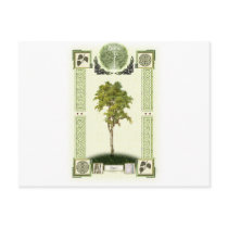 Ogham Birch Postcards