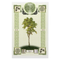 Ogham Birch stationery