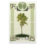 Ogham Birch Stationery Design