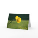 Oh-Buttercup, Sympathy cards by TDSwhite Oh-Buttercup, Sympathy cards