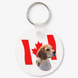 Oh Canada....and Beagles. Oh Canada....and Beagles.