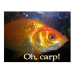 Oh, carp! postcard