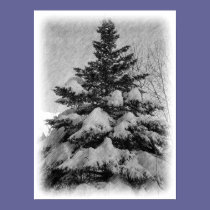 Oh Christmas Tree posters