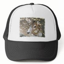 Oh Deer Baseball Hat