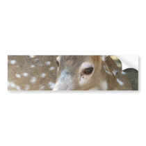 Oh Deer Bumper Sticker