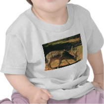 Oh deer t-shirt