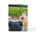 Oh Hai!, greeting card