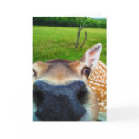 Oh Hai!, greeting card