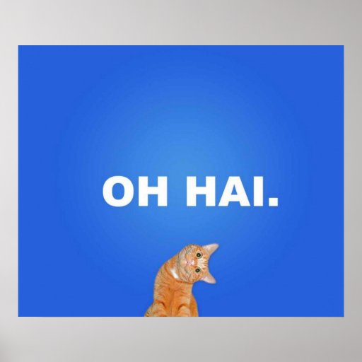 oh_hai_kitty_poster-r1cff3a773559453fae6