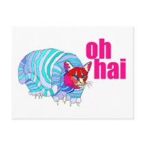 oh hai postcard
