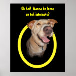Oh hai!  Wanna be frenz on teh internetz? Poster