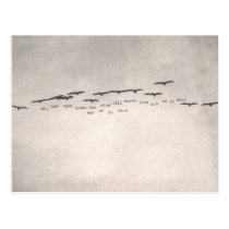 "oh, how they trust " postcards