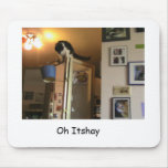 Oh itshay, mouse pad