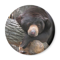 Oh Man, What a Day! Refrigerator Magnets