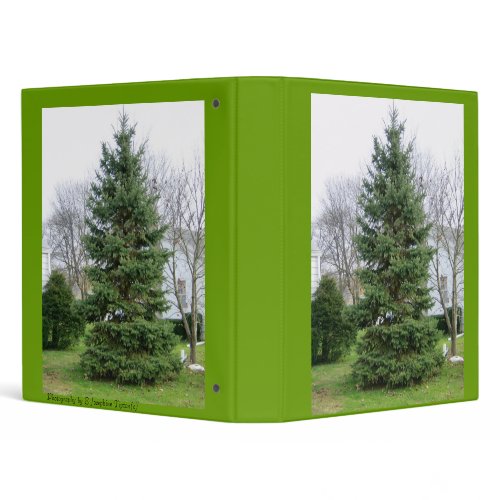 Oh Mighty Tree Binder binder