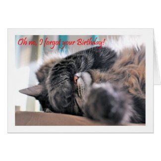 Oh no, I forgot your Birthday! Cat Happy beltaed Cards
