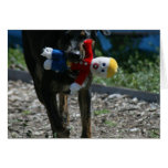 Oh-No Mr. Bill Cards