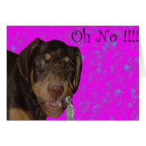 Oh NO.. my mom just caught me eating her Newpaper cards
